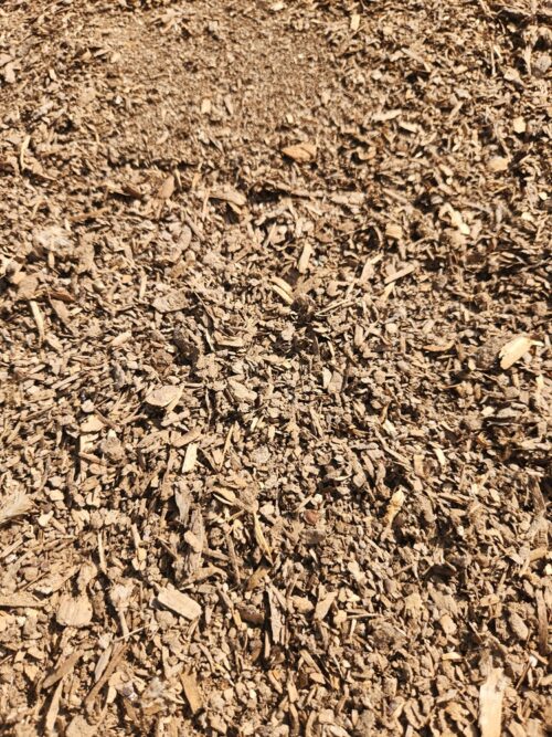 Alternative view of Chicken Manure – High-Nitrogen Organic Fertilizer
