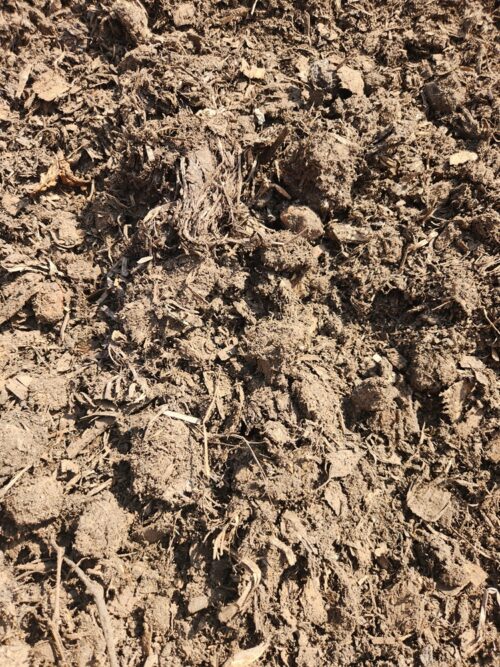 Alternative view of Composted Horse Manure – The "Rose Grower’s Gold"