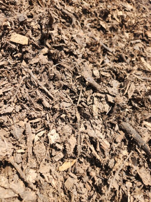 Layer of organic wood chip mulch in a garden bed in Pretoria.