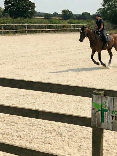 A rider on a horse cantering in an outdoor wooden-fenced arena surfaced with fine, cream-colored Topsoil Tippers silica sand.
