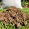 Kraal Manure Kraalmis